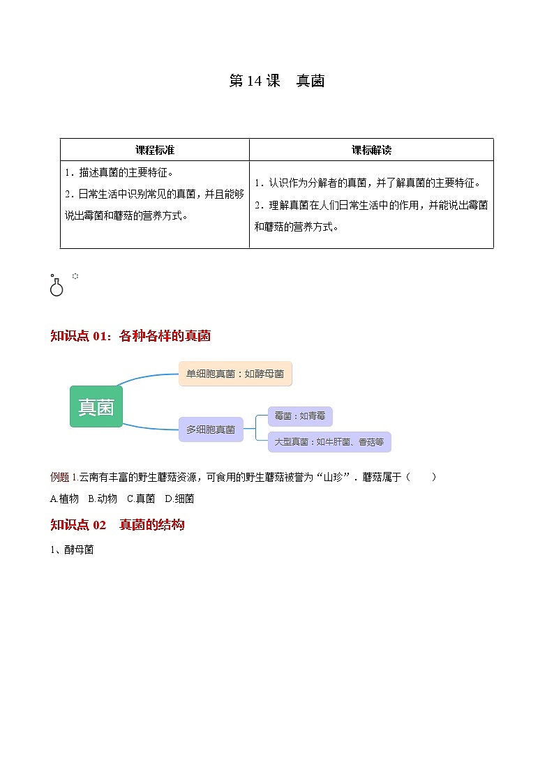 5.4.3 真菌- 2022-2023学年八年级上册生物同步精品讲义（人教版）01