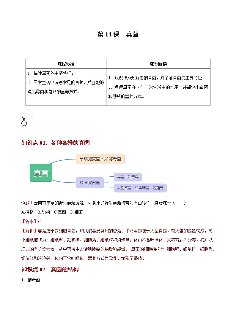5.4.3 真菌- 2022-2023学年八年级上册生物同步精品讲义（人教版）01
