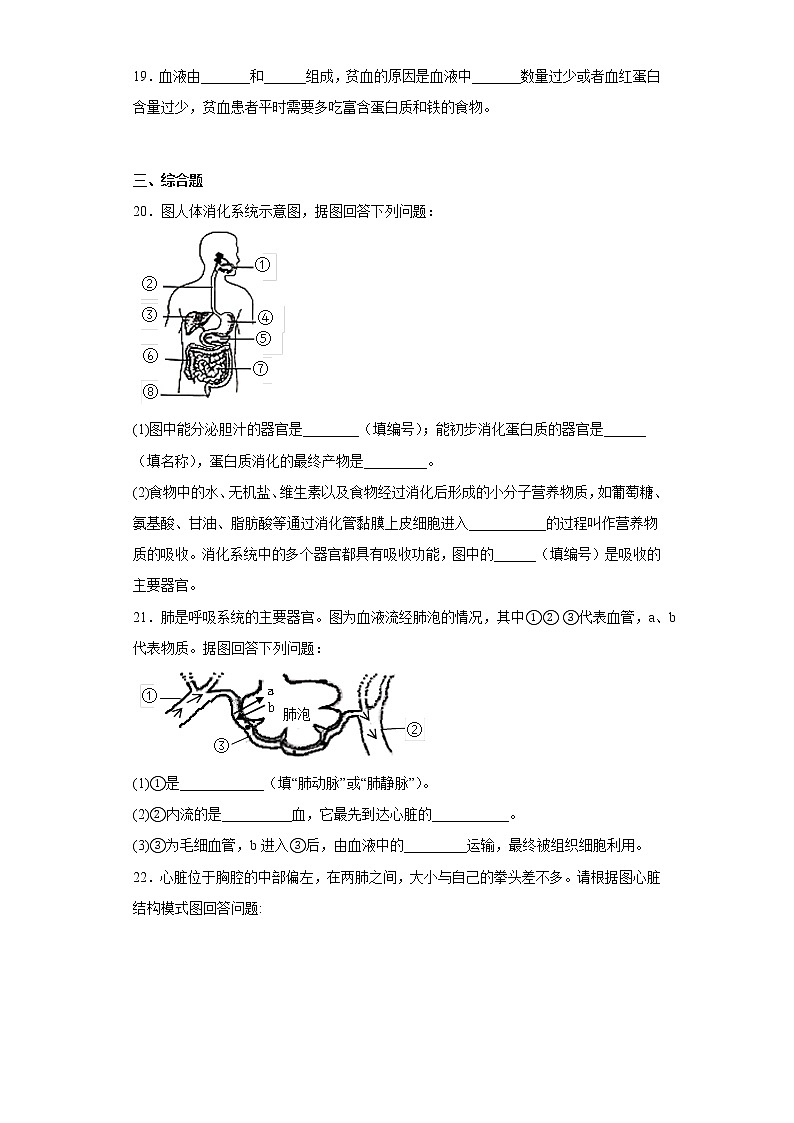 广西河池地市宜州区2021-2022学年七年级下学期期中生物试题(含答案)03