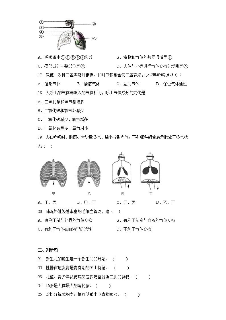 广西南宁市武鸣区2021-2022学年七年级下学期期中生物试题(含答案)03