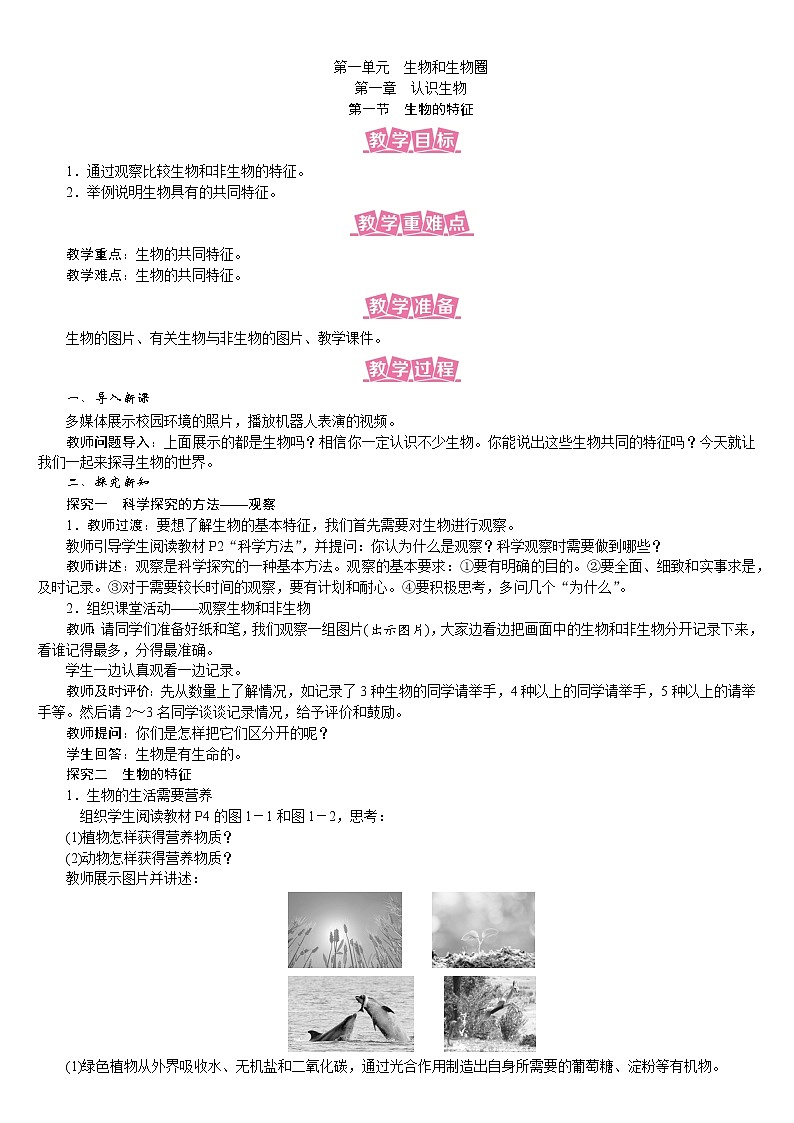 人教版七年级生物上册教案 1.1.1 生物的特征第1页
