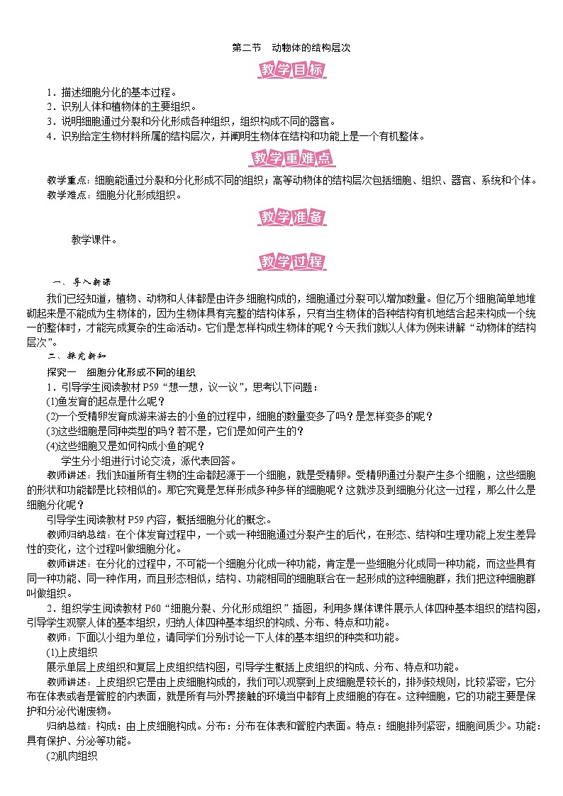 人教版七年级生物上册教案 2.2.2 动物体的结构层次第1页