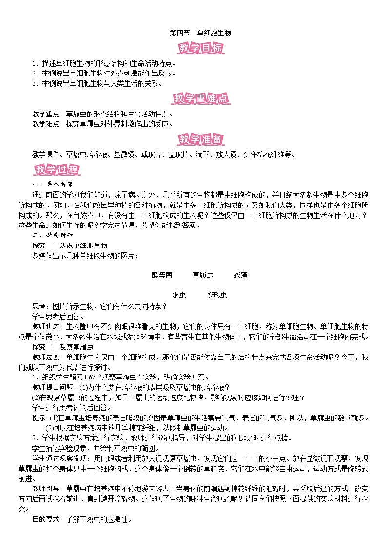 人教版七年级生物上册教案 2.2.4 单细胞生物01