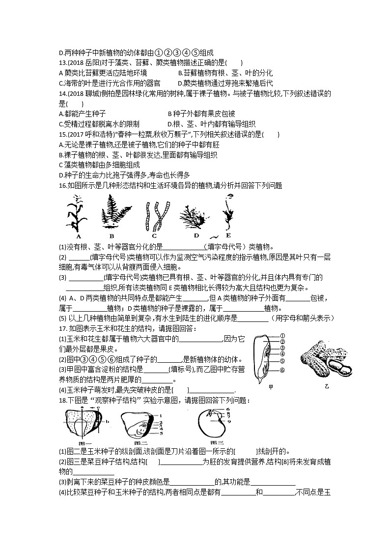 练习3生物圈中的绿色植物第3页