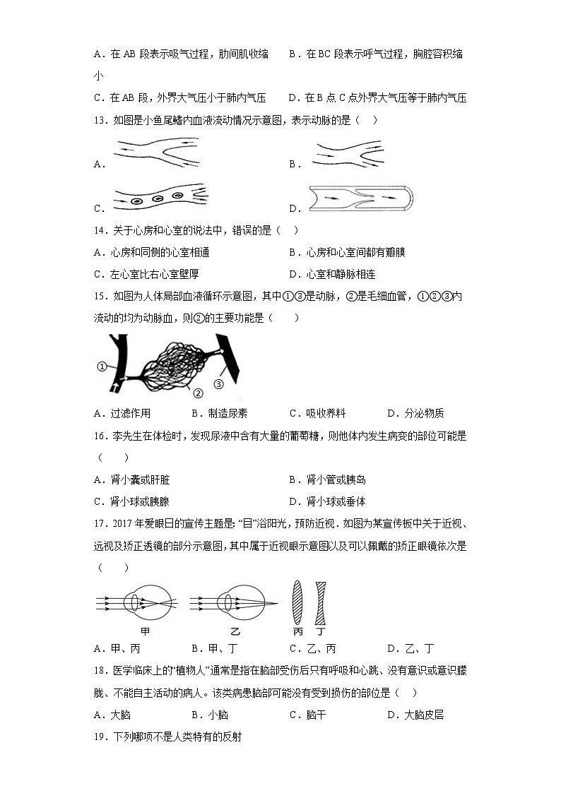 河南省商丘市睢县2021-2022学年七年级下学期期末生物试题-(含答案)03