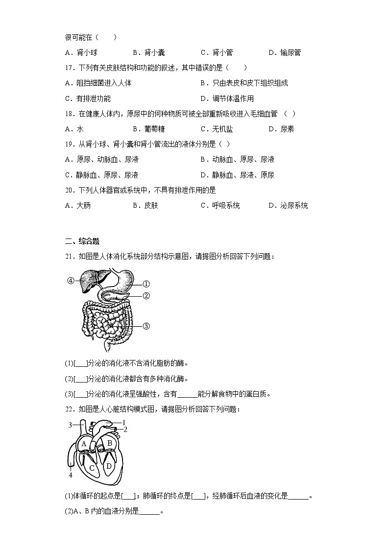 广西贵港市覃塘区2021-2022学年七年级下学期期中生物试题(含答案)第3页