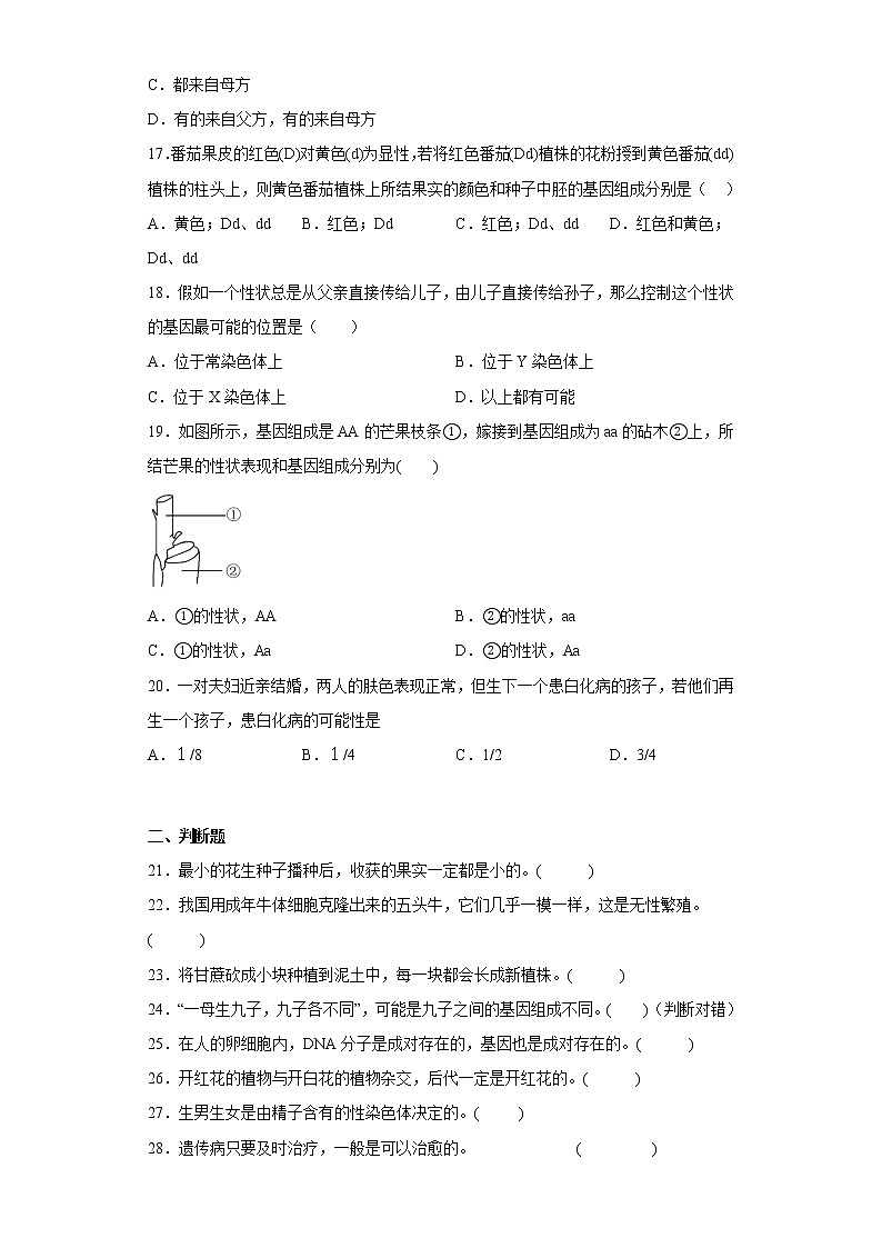 广西南宁地区武鸣区2021-2022学年八年级下学期期中生物试题(含答案)第3页