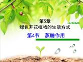 第5章第5節(jié)蒸騰作用課件2022-2023學(xué)年北師大版生物學(xué)七年級上冊