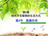 第5章第5节蒸腾作用课件2022-2023学年北师大版生物学七年级上册