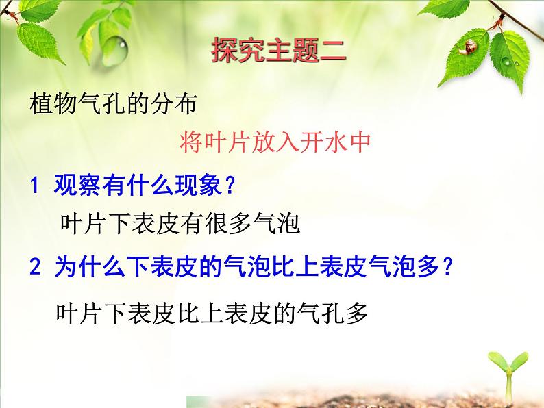 第5章第5节蒸腾作用课件2022-2023学年北师大版生物学七年级上册08