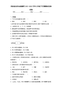 河南省安阳市殷都区2021-2022学年七年级下学期期末生物试题(含答案)