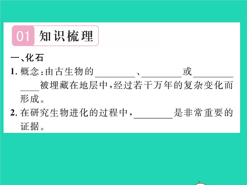 2022八年级生物下册第七单元生物圈中生命的延续和发展第三章生命起源和生物进化第二节生物进化的历程第1课时学习研究生物进化的方法习题课件新版新人教版02