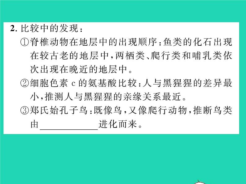 2022八年级生物下册第七单元生物圈中生命的延续和发展第三章生命起源和生物进化第二节生物进化的历程第1课时学习研究生物进化的方法习题课件新版新人教版04