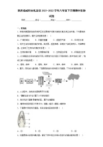 陕西省咸阳市礼泉县2021-2022学年八年级下学期期中生物试题(含答案)