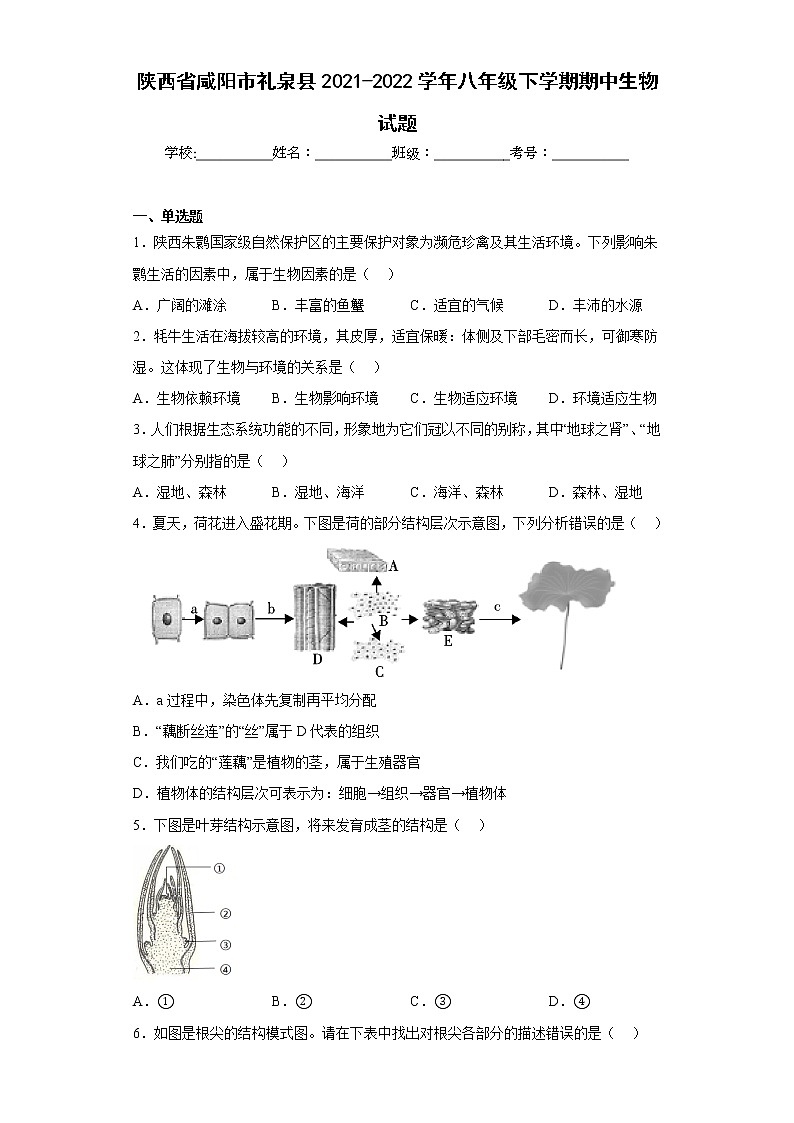陕西省咸阳市礼泉县2021-2022学年八年级下学期期中生物试题(含答案)第1页