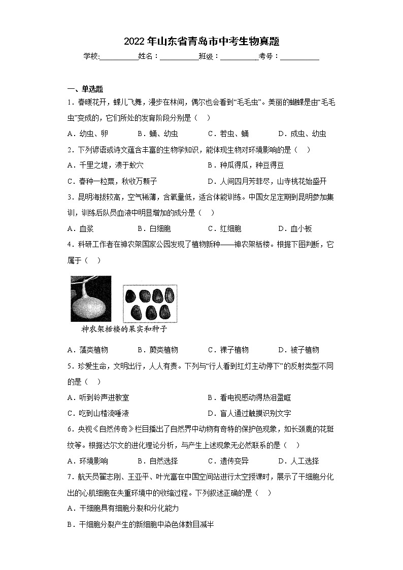 2022年山东省青岛市中考生物真题(含答案)01