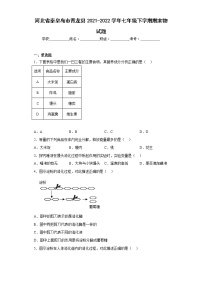 河北省秦皇岛市青龙县2021-2022学年七年级下学期期末物试题(含答案)