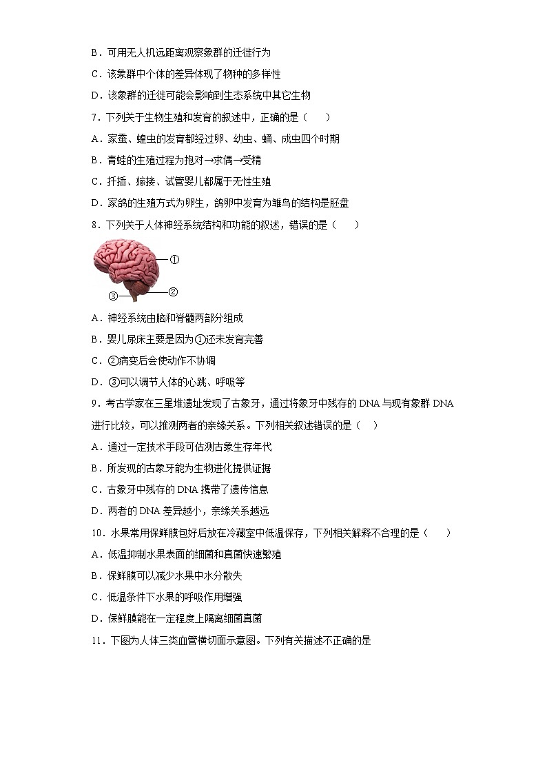 2022年内蒙古呼伦贝尔市牙克石市初中毕业生学业水平模拟测试生物试题(含答案)02
