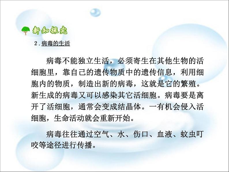 《病毒》课件第6页