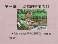 人教版 (新课标)八年级上册第七节   哺乳动物课前预习课件ppt