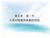 《人类对细菌和真菌的利用》课件