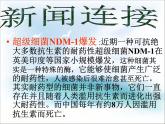 《细菌和真菌在自然界中的作用》课件