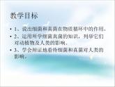 《细菌和真菌在自然界中的作用》课件