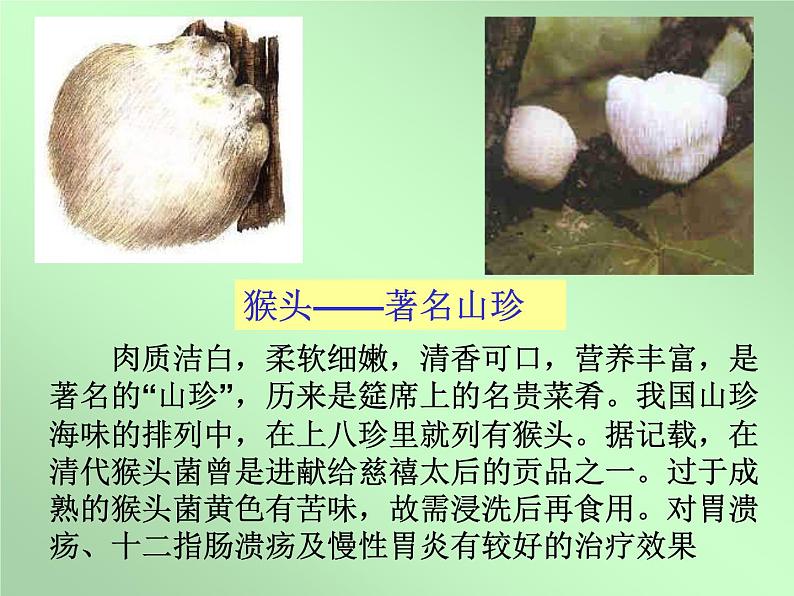 《真菌》参考课件1-基础型第6页