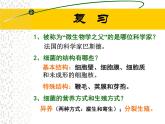 《真菌》参考课件2-扩展型