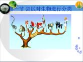 《尝试对生物进行分类》第二课时课件
