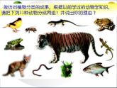 《尝试对生物进行分类》第二课时课件