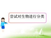 《尝试对生物进行分类》第一课时课件