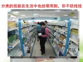 《尝试对生物进行分类》第一课时课件