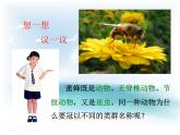 《从种到界》课件