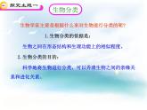 《从种到界》课件