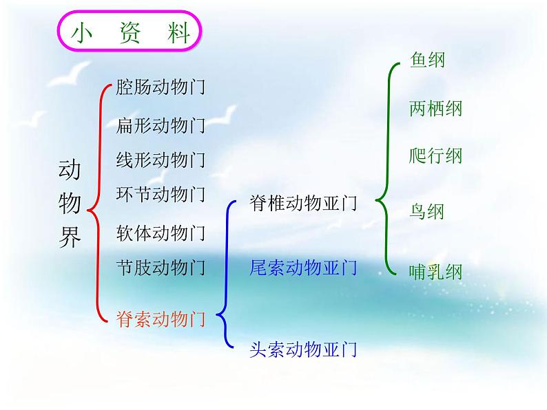 《从种到界》课件第8页