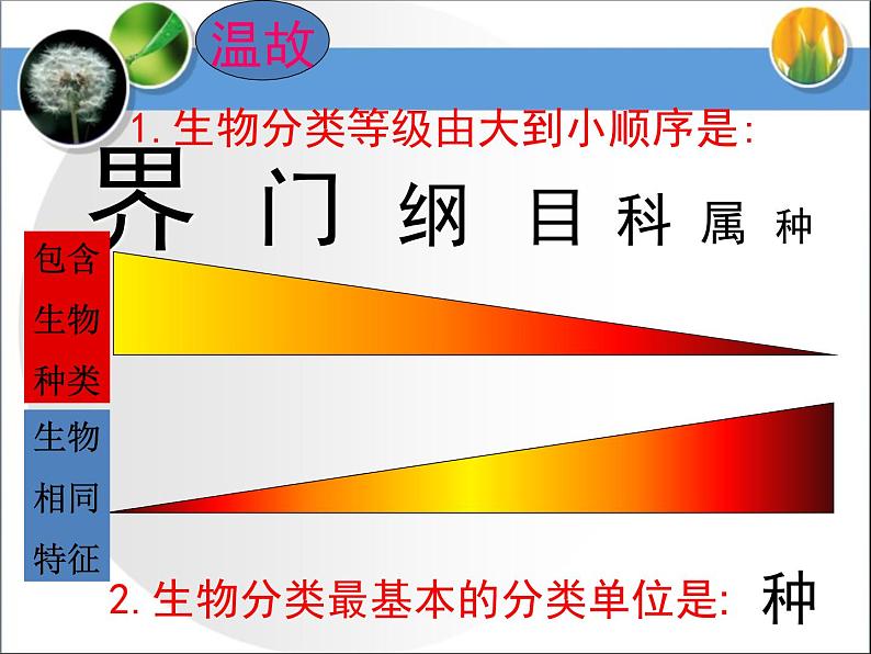 《认识生物的多样性》课件第1页