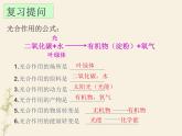 第二节 绿色植物的呼吸作用-课件