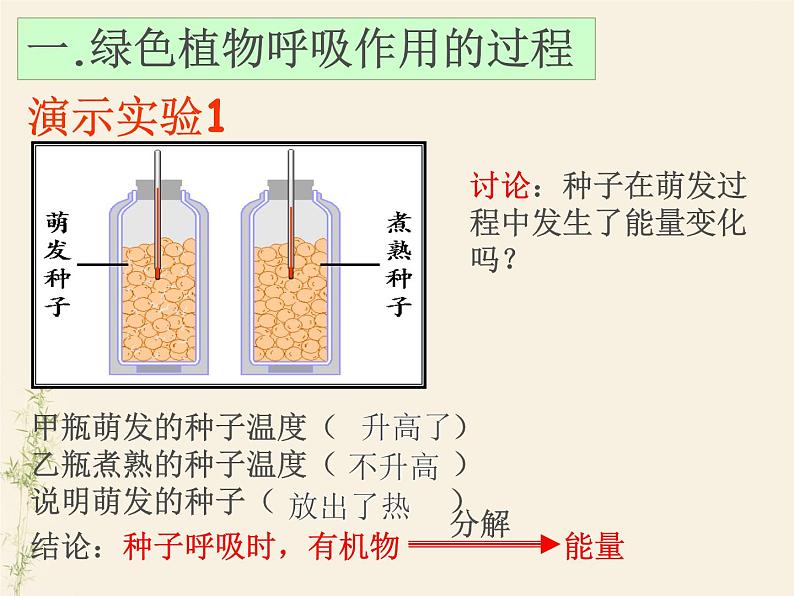 第二节 绿色植物的呼吸作用-课件第8页