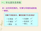 第二节 生物与环境组成生态系统-课件