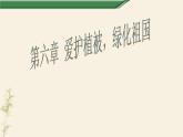 第六章 爱护植被，绿化祖国-课件