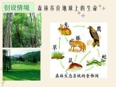 第六章 爱护植被，绿化祖国-课件