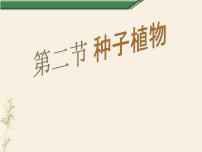 初中生物人教版 (新课标)七年级上册第二节 种子植物课文ppt课件