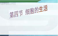 生物第二单元 生物体的结构层次第一章 细胞是生命活动的基本单位第四节  细胞的生活背景图ppt课件
