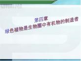 第四章 绿色植物是生物圈中有机物的制造者-课件