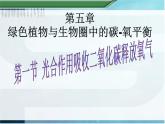 第一节 光合作用吸收二氧化碳释放氧气-课件