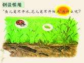 第一节　生物与环境的关系－课件