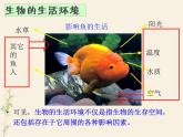 第一节　生物与环境的关系－课件