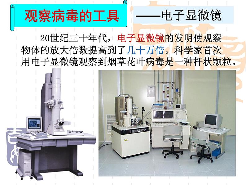 人教版八年级生物上册第五单元第五章病毒课件07