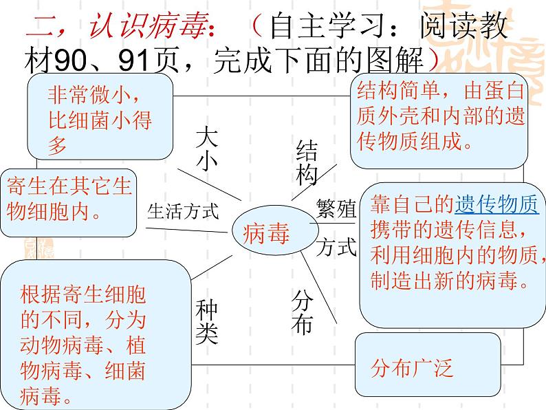 人教版八年级生物上册第五单元第五章病毒课件08